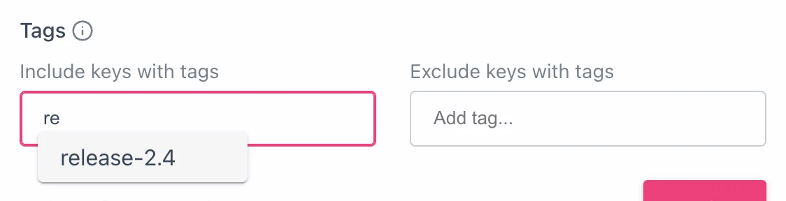 Tag field suggesting the existing tag release-2.4